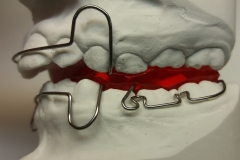 Bisszügler nach van Thiel 1