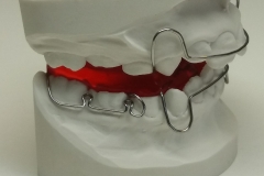 Bisszügler nach van Thiel 2