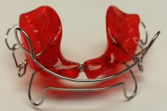 Bisszügler nach van Thiel 3