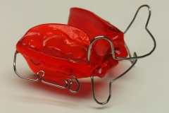 Bisszügler nach van Thiel 4